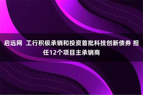 启远网  工行积极承销和投资首批科技创新债券 担任12个项目主承销商