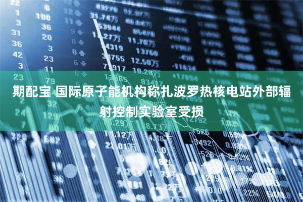 期配宝 国际原子能机构称扎波罗热核电站外部辐射控制实验室受损